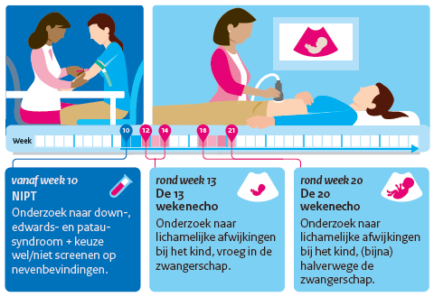 infographic over het NIPT en SEO onderzoek, toelichting in Uitgeschreven tekst onder afbeelding